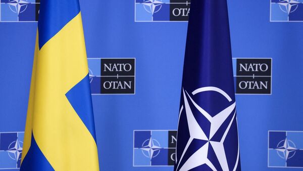 Con Suecia, "la OTAN es mayor y más fuerte" frente a Rusia - ADN Digital
