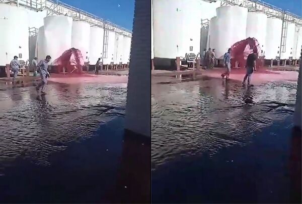 Por un error se echaron a perder casi 15 mil litros de vino de una bodega de Argentina - Megacadena - Diario Digital