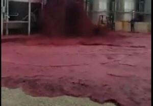 ¿Un error humano puede costar tan caro? Que lo digan los tomadores de vino y los expertos - La Tribuna