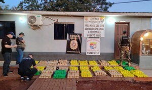 Incautan más de media tonelada de marihuana en Alto Paraná