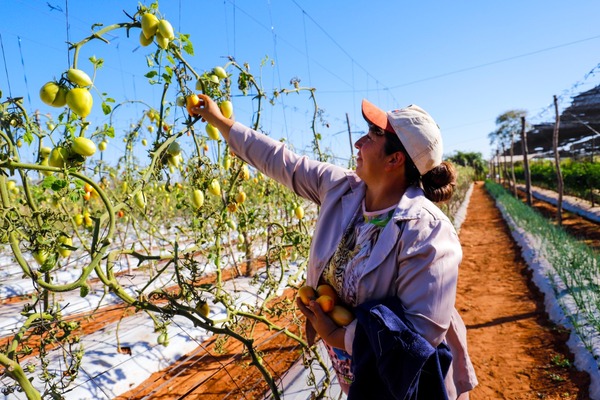 Gobierno anuncia más créditos para reforzar el apoyo a la producción campesina - .::Agencia IP::.