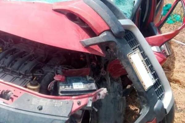 Murió tras chocar su auto: ¿lo mataron las abejas o falleció por una negligencia médica?