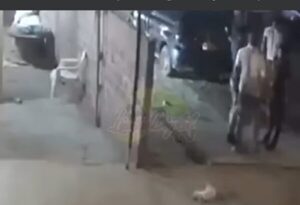 (VIDEO)En plena discusión arrojaron gato por la muralla