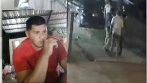 TIRÓ A UN GATITO POR UNA MURALLA