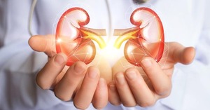 Semana de los riñones: ¿Cómo proteger estos órganos vitales? - Megacadena - Diario Digital