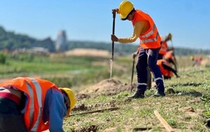 Embellecerán, darán sombra y frescura a la Costanera Sur mediante plan de arborización - .::Agencia IP::.