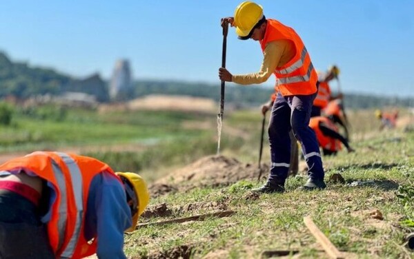 Embellecerán, darán sombra y frescura a la Costanera Sur mediante plan de arborización - .::Agencia IP::.