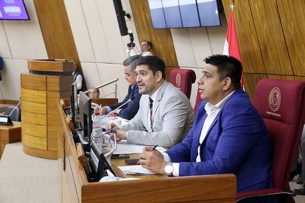 Gobierno se ratifica en el plan de universalizar el almuerzo escolar - El Trueno
