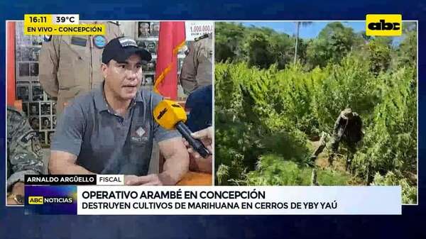 Operativo Arambé en Concepción: destruyen cultivos de marihuana en cerros de Yby Yaú - ABC Noticias - ABC Color