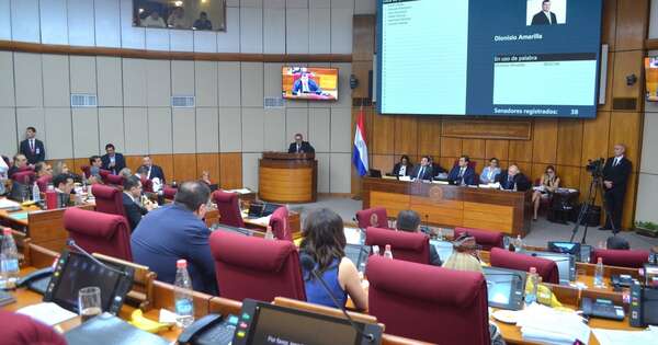 La Nación / Senado analizará este miércoles la creación de juzgados de Primera Instancia en Carmelo Peralta
