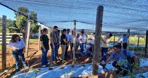 La Nación / Sistema MAG benefició con insumos agrícolas a productores y escuela de Caazapá
