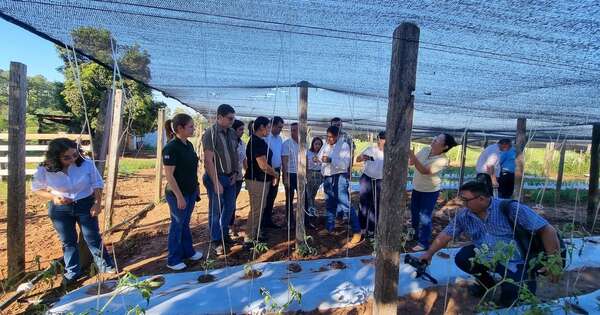 La Nación / Sistema MAG benefició con insumos agrícolas a productores y escuela de Caazapá