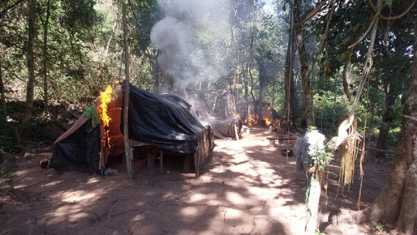 Operativo Arambé culmina con 110 hectáreas de marihuana destruidas en dos días
