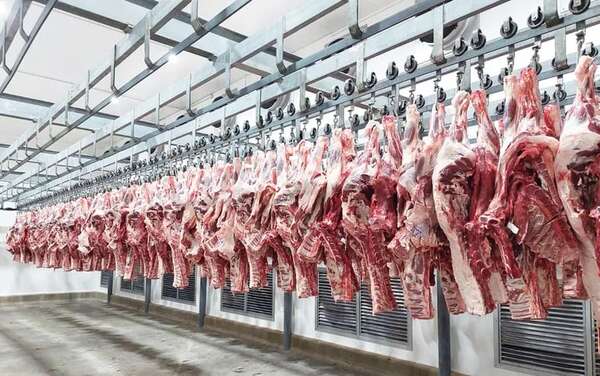 Trabajar en calidad de carne para los mercados prémium - Economía - ABC Color