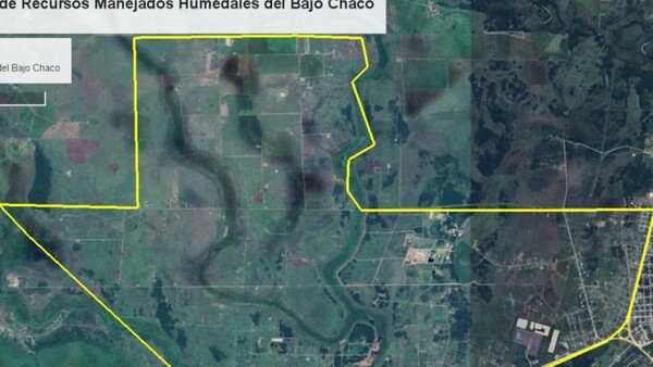Defensa prefiere reducir área silvestre antes que combatir invasiones