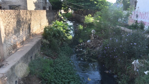 Alta contaminación de arroyos causa múltiples enfermedades a ciudadanos