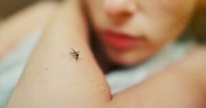 La Nación / Reportan tres casos humanos de leishmaniasis en Acahay