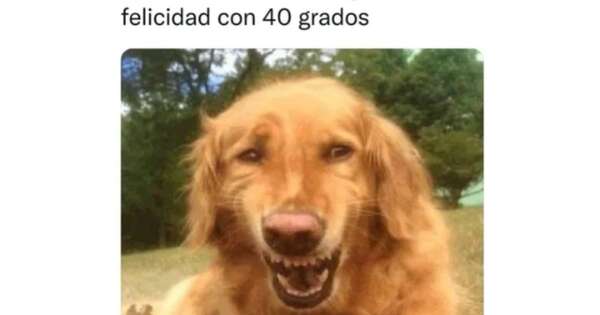 La Nación / ¡Compartimos los mejores memes sobre la ola de calor!