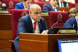 Basilio Núñez es elegido presidente del Senado: asumirá el cargo el 1 de julio - trece