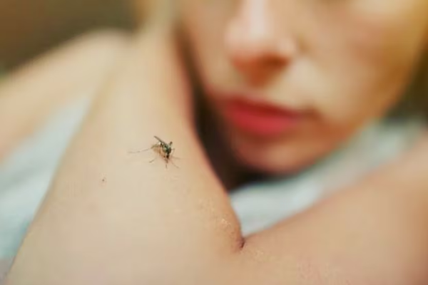 Reportan tres casos de leishmaniasis en humanos en Acahay