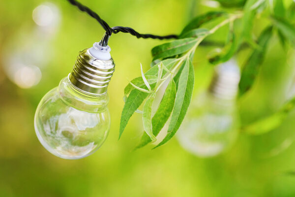 Energía verde, transporte y programación, los sectores en la mira de los empresarios españoles - MarketData