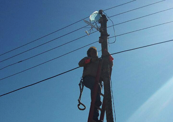 El calor y conexiones ilegales amenazan suministro eléctrico - La Clave