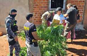 Detuvieron a tres personas e incautaron dosis de cocaína en Itapúa - Megacadena - Diario Digital