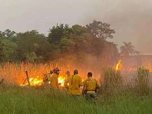 Bomberos trabajan contra incendio de interfaz en San Bernardino  - Nacionales - ABC Color