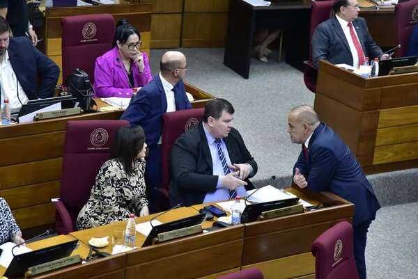 Senado aprueba venganza liberocartista contra titular del PLRA - Política - ABC Color