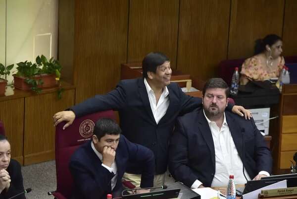 Senado posterga reforma policial, Bozzano va al Panteón y protegen el Salto Inglés - Política - ABC Color