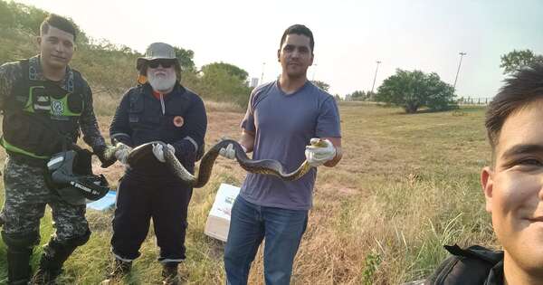 Diario HOY | Linces rescatan a una Kuriju en la Costanera de Asunción