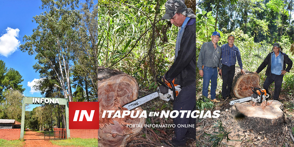 GOBERNACIÓN BENEFICIARÁ A PRODUCTORES APÍCOLAS TRAS CONVENIO CON INFONA - Itapúa Noticias