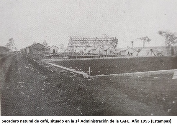 La acción de la C.A.F.E. en el Amambay. Inversión inútil (Final)