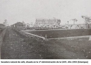 La acción de la C.A.F.E. en el Amambay. Inversión inútil (Final) - Radio Imperio 106.7 FM