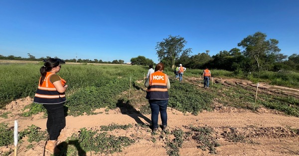 Verificaron cumplimiento de reposición de árboles sobre la ruta Transchaco