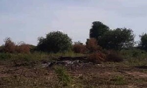 Trabajador muere asfixiado por inhalación de humo en Horqueta – Prensa 5