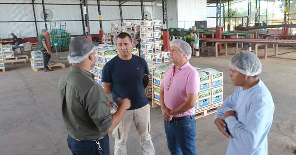 Diario HOY | Ponen bajo lupa a presuntos funcionarios infieles acusados de pedir coimas