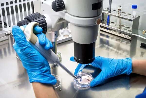 Científicos brasileños hallan una bacteria amazónica con propiedades anticancerígenas - Mundo - ABC Color