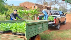 Entregan plantines de verduras a productores en Bella Vista