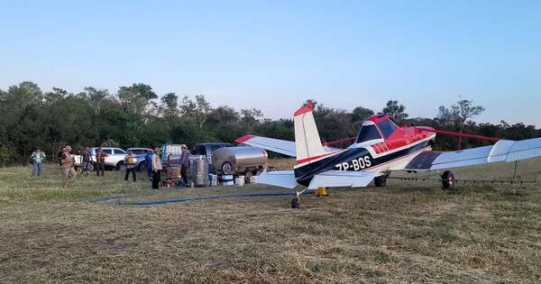 Diario HOY | Chaco: recurren a la aplicación aérea para controlar langostas