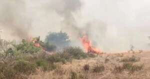 La Nación / Reportan incendio de grandes proporciones en Benjamín Aceval