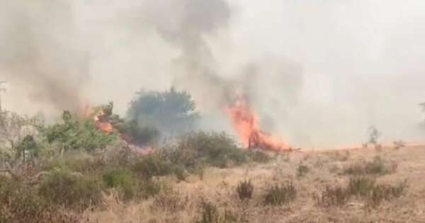La Nación / Reportan incendio de grandes proporciones en Benjamín Aceval