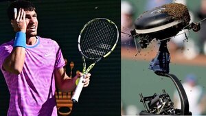 Una "invasión de abejas" obliga a suspender el partido entre Alcaraz y Zverev
