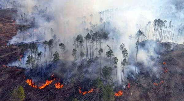 Bomberos 100 % acuartelados ante incendios forestales: el 90 % es provocado