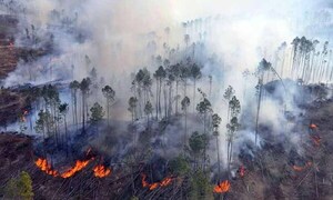 Bomberos 100 % acuartelados ante incendios forestales: el 90 % es provocado – Prensa 5