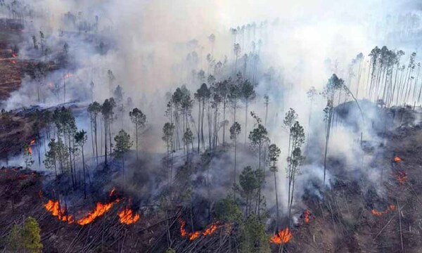 Bomberos 100 % acuartelados ante incendios forestales: el 90 % es provocado – Prensa 5