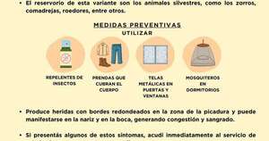 Diario HOY | Salud reporta cuatro casos de leishmaniasis en humanos en Paraguarí