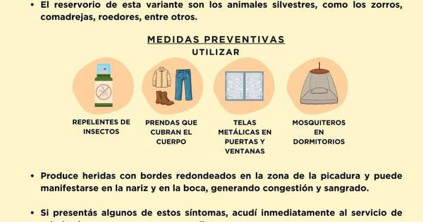 Diario HOY | Salud reporta cuatro casos de leishmaniasis en humanos en Paraguarí