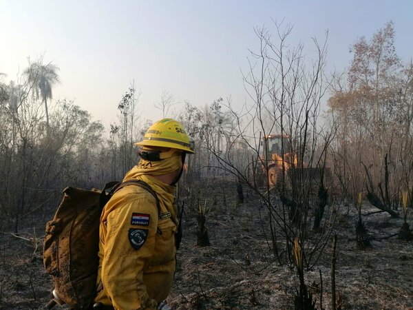 Ejército colabora con los bomberos en el combate y extinción de incendios - .::Agencia IP::.