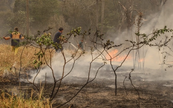Bomberos, cansados de pirómanos que realizan quemas intencionales - La Tribuna